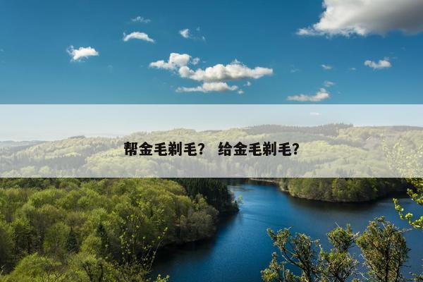 帮金毛剃毛？ 给金毛剃毛？