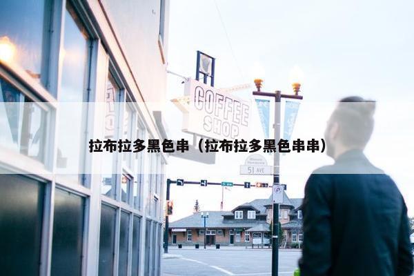 拉布拉多黑色串（拉布拉多黑色串串）