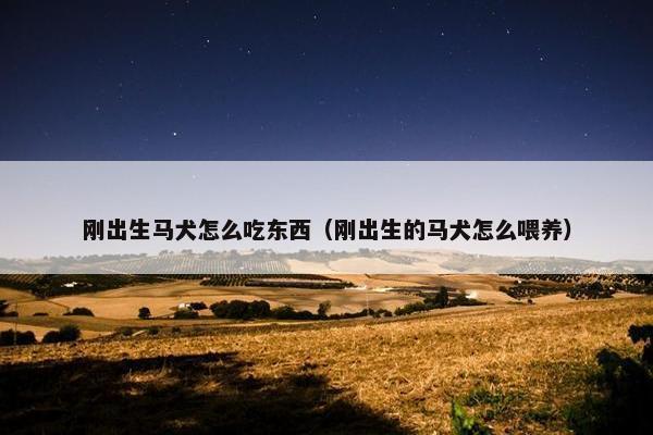 刚出生马犬怎么吃东西（刚出生的马犬怎么喂养）