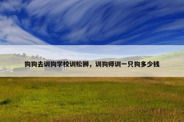 狗狗去训狗学校训松狮，训狗师训一只狗多少钱