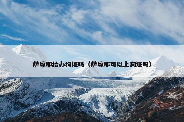萨摩耶给办狗证吗（萨摩耶可以上狗证吗）