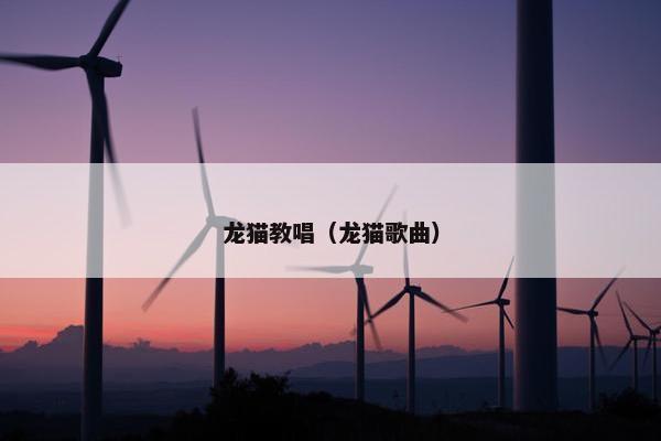 龙猫教唱（龙猫歌曲）