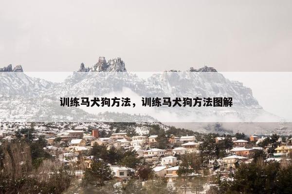 训练马犬狗方法，训练马犬狗方法图解