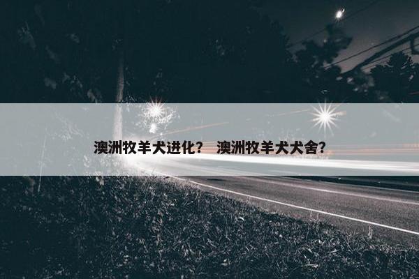 澳洲牧羊犬进化？ 澳洲牧羊犬犬舍？