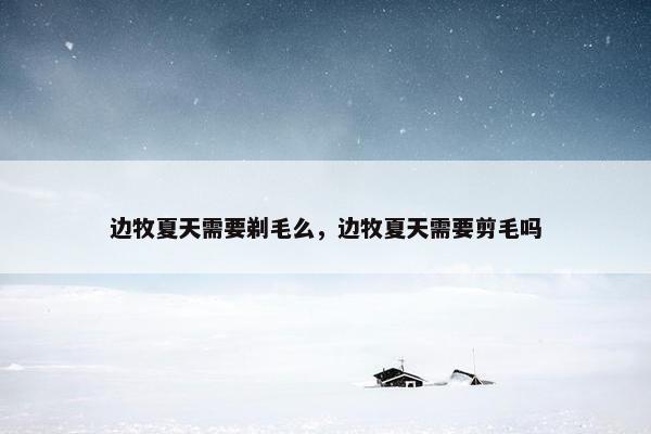 边牧夏天需要剃毛么，边牧夏天需要剪毛吗