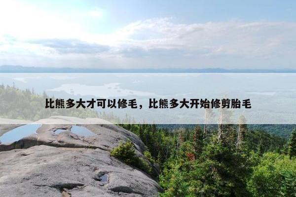 比熊多大才可以修毛，比熊多大开始修剪胎毛