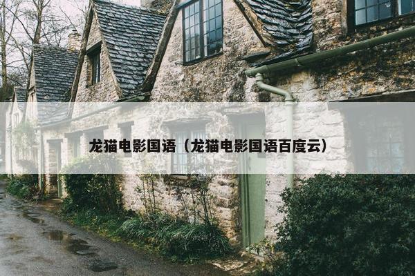 龙猫电影国语（龙猫电影国语百度云）