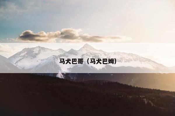 马犬巴哥（马犬巴姆）
