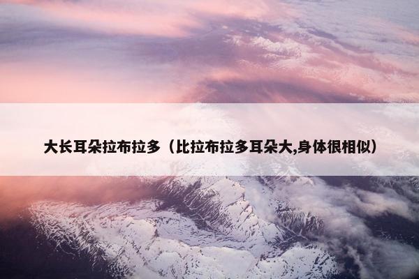 大长耳朵拉布拉多（比拉布拉多耳朵大,身体很相似）