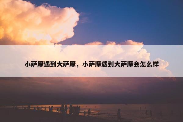 小萨摩遇到大萨摩，小萨摩遇到大萨摩会怎么样