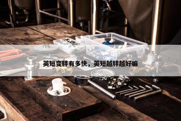 英短变胖有多快，英短越胖越好嘛
