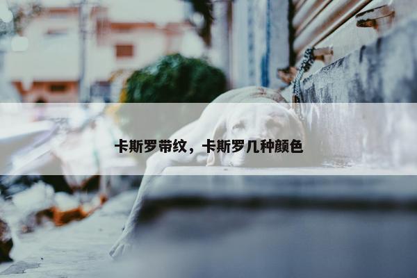 卡斯罗带纹，卡斯罗几种颜色