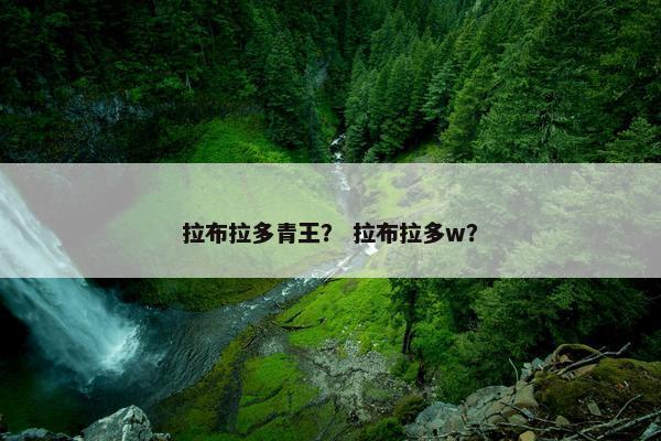 拉布拉多青王？ 拉布拉多w？
