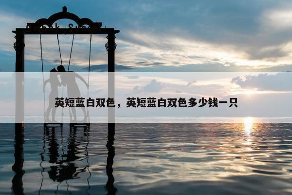 英短蓝白双色，英短蓝白双色多少钱一只