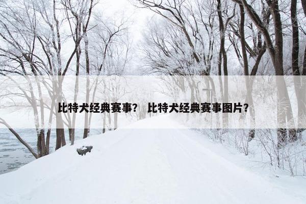 比特犬经典赛事？ 比特犬经典赛事图片？