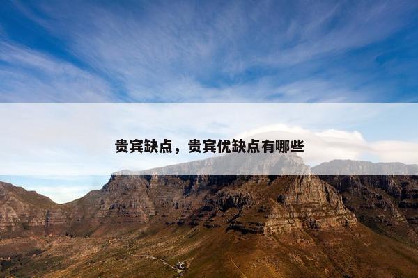 贵宾缺点，贵宾优缺点有哪些