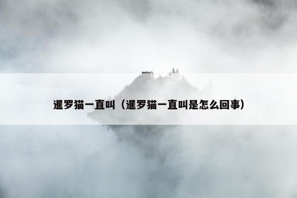 暹罗猫一直叫（暹罗猫一直叫是怎么回事）