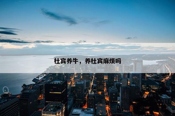 杜宾养牛，养杜宾麻烦吗