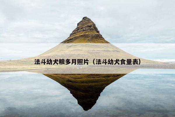法斗幼犬粮多月照片（法斗幼犬食量表）