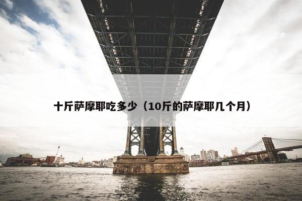 十斤萨摩耶吃多少（10斤的萨摩耶几个月）