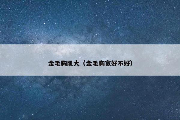 金毛胸肌大（金毛胸宽好不好）