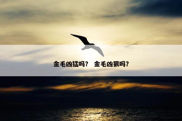 金毛凶猛吗？ 金毛凶狠吗？