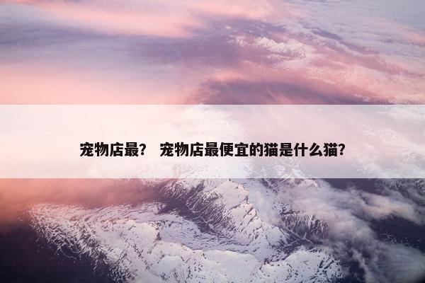 宠物店最？ 宠物店最便宜的猫是什么猫？