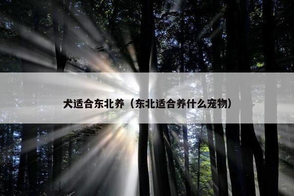 犬适合东北养（东北适合养什么宠物）
