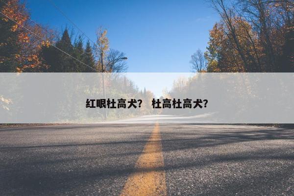 红眼杜高犬？ 杜高杜高犬？