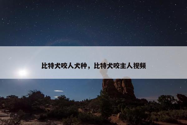 比特犬咬人犬种，比特犬咬主人视频