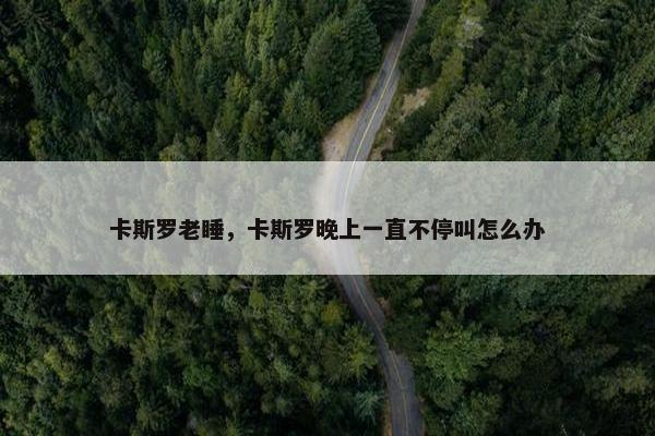 卡斯罗老睡，卡斯罗晚上一直不停叫怎么办