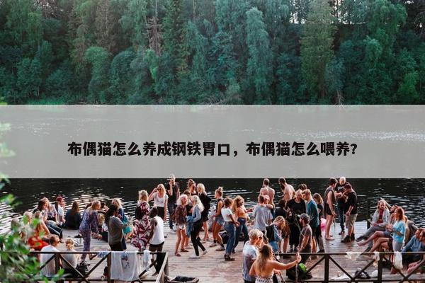 布偶猫怎么养成钢铁胃口，布偶猫怎么喂养?
