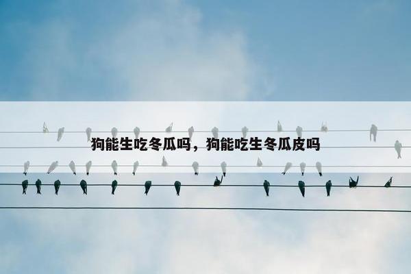 狗能生吃冬瓜吗，狗能吃生冬瓜皮吗