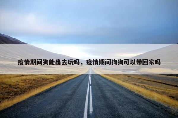 疫情期间狗能出去玩吗，疫情期间狗狗可以带回家吗