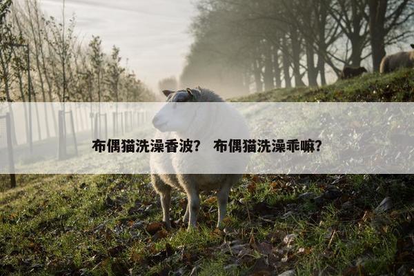 布偶猫洗澡香波？ 布偶猫洗澡乖嘛？