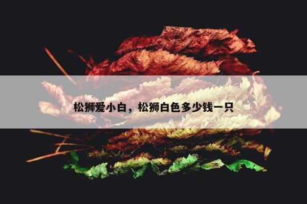松狮爱小白，松狮白色多少钱一只