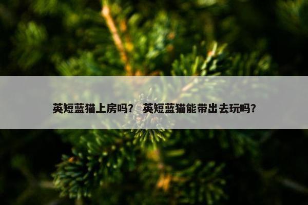 英短蓝猫上房吗？ 英短蓝猫能带出去玩吗？