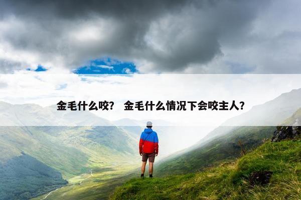 金毛什么咬？ 金毛什么情况下会咬主人？