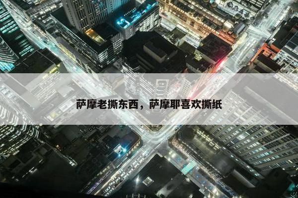 萨摩老撕东西，萨摩耶喜欢撕纸