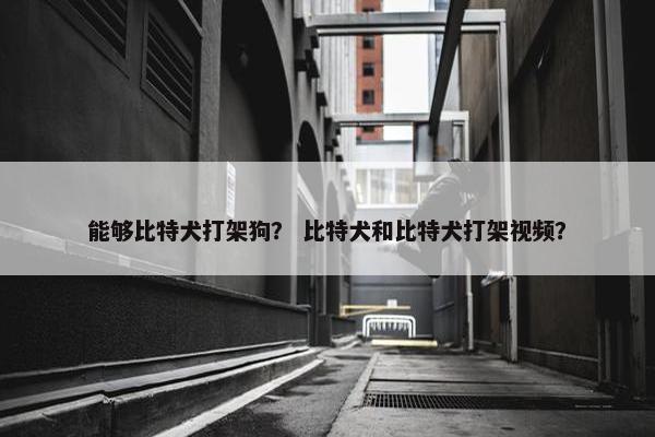 能够比特犬打架狗？ 比特犬和比特犬打架视频？