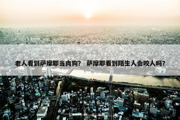 老人看到萨摩耶当肉狗？ 萨摩耶看到陌生人会咬人吗？