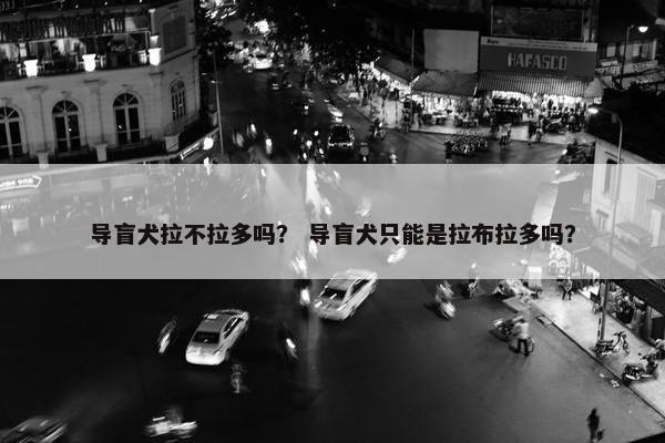 导盲犬拉不拉多吗？ 导盲犬只能是拉布拉多吗？