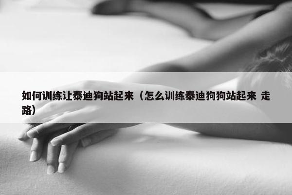 如何训练让泰迪狗站起来（怎么训练泰迪狗狗站起来 走路）