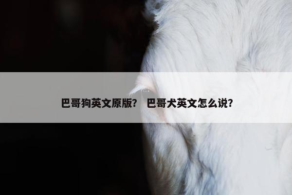 巴哥狗英文原版？ 巴哥犬英文怎么说？