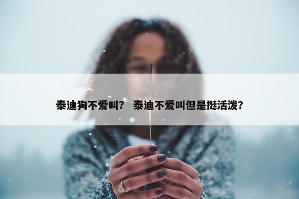 泰迪狗不爱叫？ 泰迪不爱叫但是挺活泼？