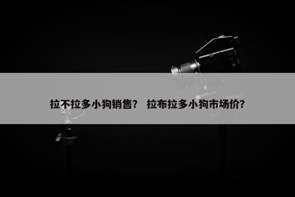 拉不拉多小狗销售？ 拉布拉多小狗市场价？