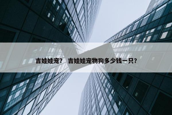 吉娃娃宠？ 吉娃娃宠物狗多少钱一只？