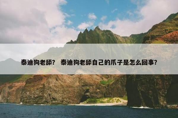 泰迪狗老舔？ 泰迪狗老舔自己的爪子是怎么回事？