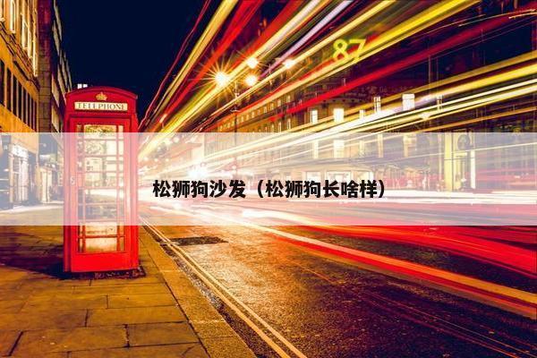 松狮狗沙发（松狮狗长啥样）