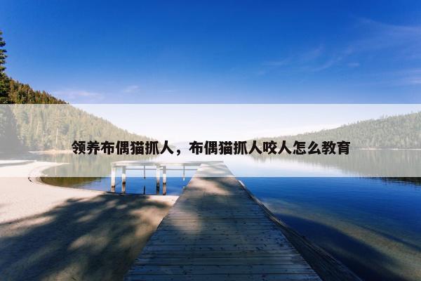领养布偶猫抓人，布偶猫抓人咬人怎么教育
